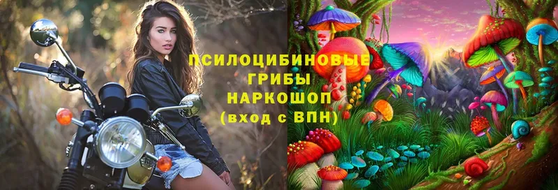 Псилоцибиновые грибы мухоморы Нелидово